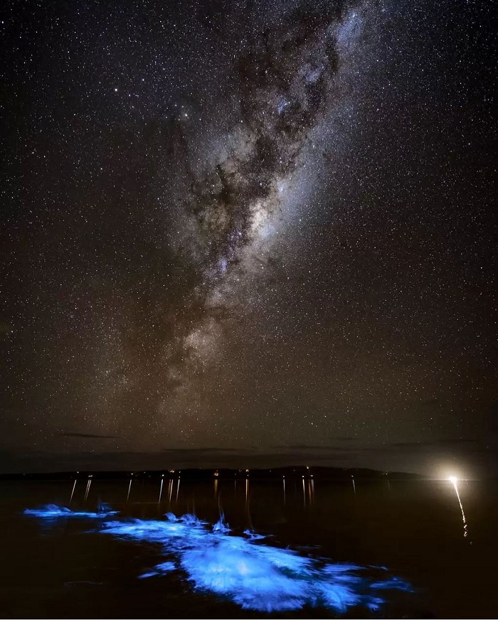 Hiện tượng phát quan tuyệt đẹp dưới nước giống như ngàn vì sao trên bầu trời đêm - du lịch vịnh Mosquito