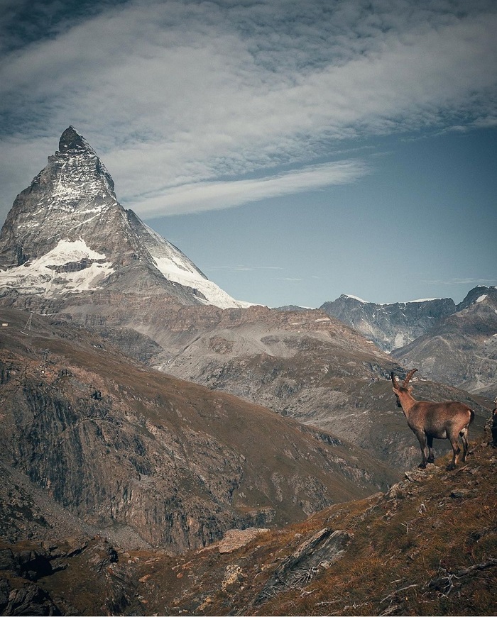 Đỉnh Matterhorn huyền thoại 